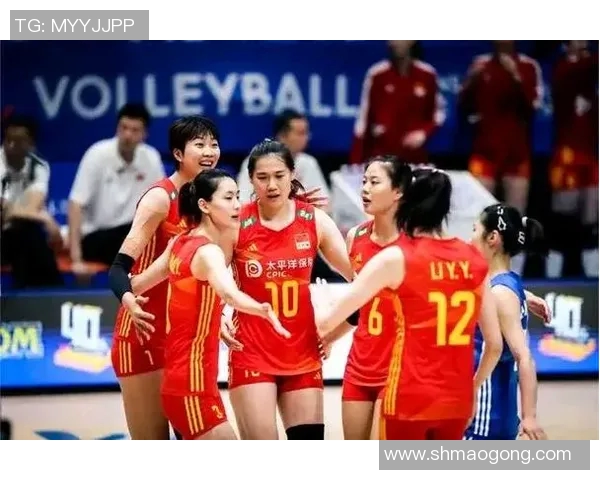 西安排球队技术对比深度解析与战术优势剖析