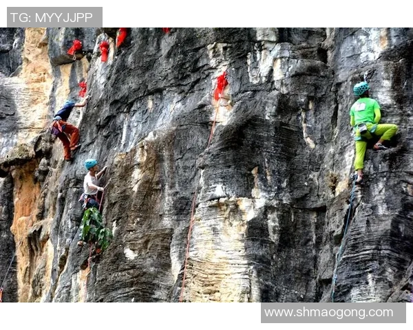 重庆攀岩队与成都攀岩队赛后复盘分析意识差异及其影响